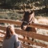 another horse