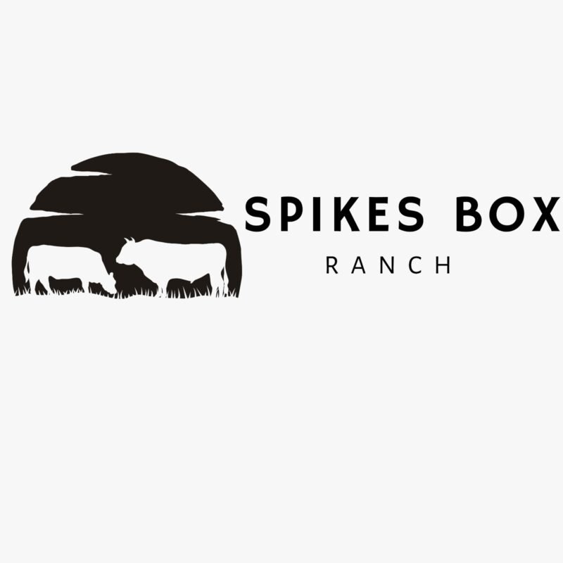 Spikes Box Ranch